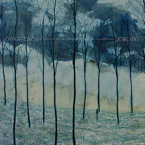 Camera obscura desire - desire, lines