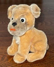 süßer alter Hund beweglicher