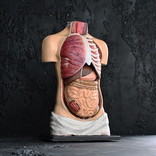 Anfang jahrhundert - anfang, 20.