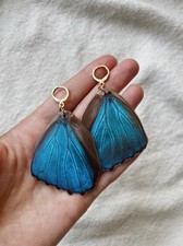 Blue Morpho Schmetterling Ohrringe - Echte Flügel & 18k vergoldete Creolen