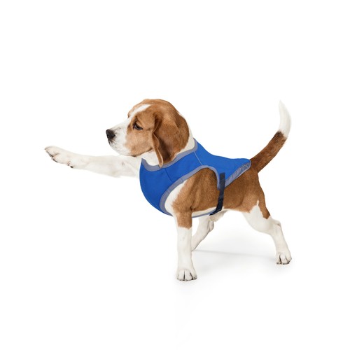 Hundeweste kühlungseffekt - hundeweste,
