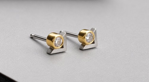 Platin 950 ohrstecker - 950,