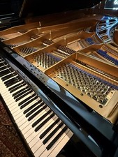 Blüthner Konzertflügel Modell 1, 280 cm, Bj. 1965, Meisterstück in neuem Glanz