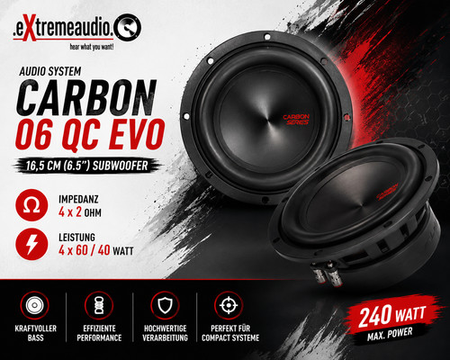 Audio system carbon evo - system,