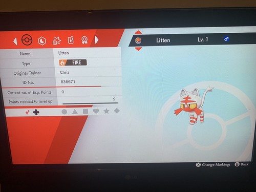 Litten pokemon schwert und - pokemon,