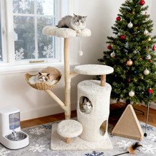 Kratzbaum Holz Sisal 142 cm