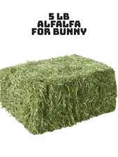 Alfalfa Hay for Rabbits &