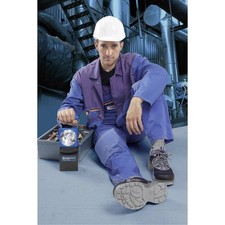 AccuLux LED Akku-Handscheinwerfer SL 5 456481