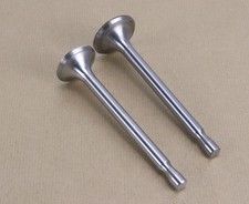 Einlassventil + Auslassventil