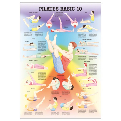 Anatomisches mini poster - anatomisches, mini-poster