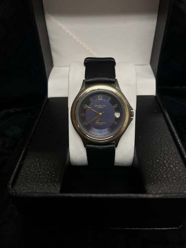 Fabiani titan herrenuhr 5atm - fabiani,