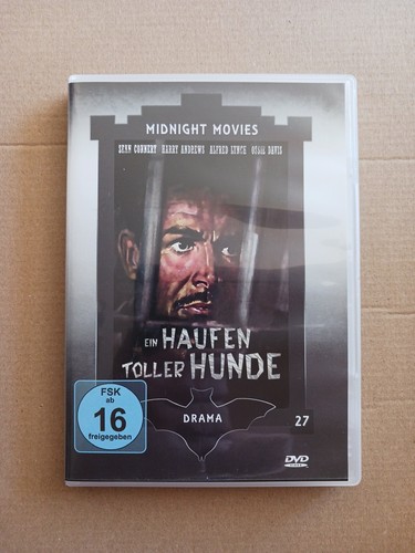 Ein haufen toller hunde - ein,