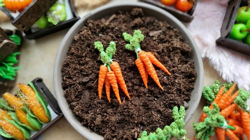 Mini karottenbund - mini,