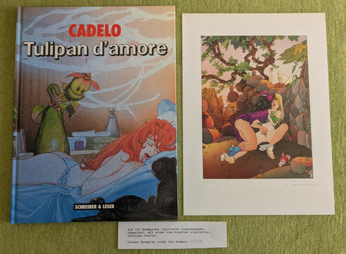 Cadelo tulipan d - cadelo,