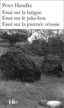 Essai sur fatigue - fatigue,,