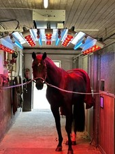 Pferdesolarium Sunny Luxus Power