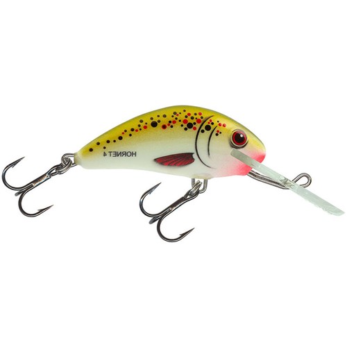 Salmo hornet sinking - salmo,