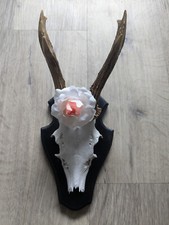 echtes Rehgeweih Geweih handbemalt bemalt verziert abstrakt weiß Design Deko