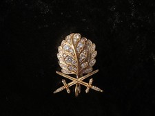 Eichenlaub mit Schwertern und