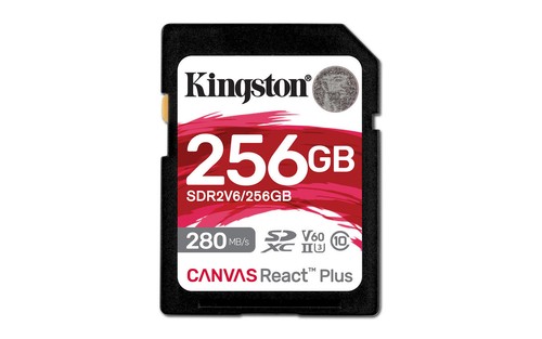 Kingston canvas react - kingston,
