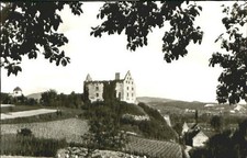 Burkheim Schlossruine