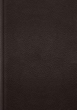 ESV Single Column Journaling