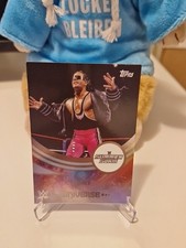 2025 topps universe wwe - 2025,