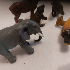 Tierkolvolut   Schnabeltier