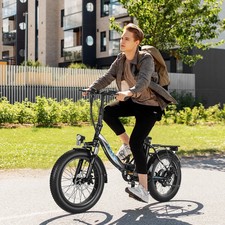 250W Elektrofahrrad E Bike 20