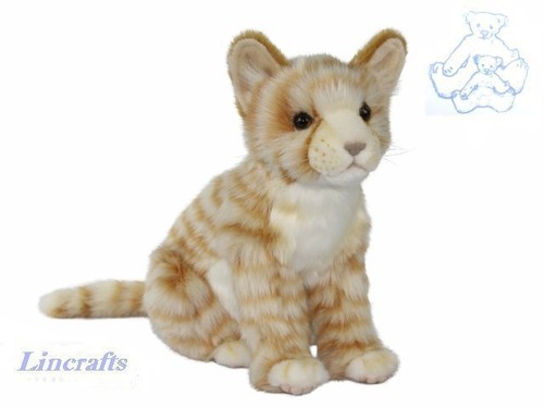 Hansa sitzender ingwer tabby - ingwer,