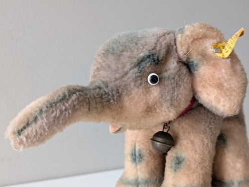 6620 seltener steiff elefant - seltener,