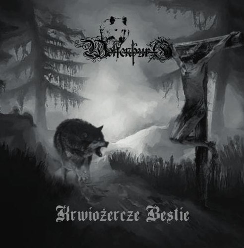 Wolfenburg krwiozercze - wolfenburg,