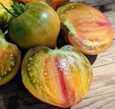 Tomate • Taiga •