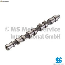 NOCKENWELLE 50006392 FÜR