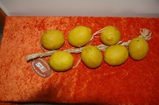 Herbstdeko Deko "Zitronen" (213-10/25)