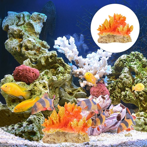 Riffgestein aquarium korallen - riffgestein,