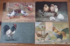 4 x Vogel Postkarten, mit