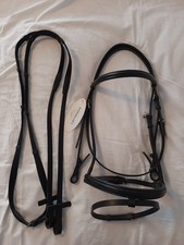 Reittrense Englisch COB