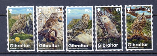 Gibraltar 1975 vögel - gibraltar,
