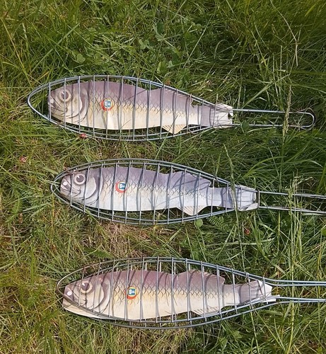 Fischgrillrost grillaufsatz - fischgrillrost,