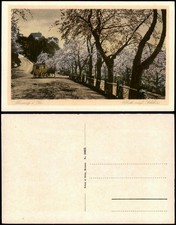 Ansichtskarte Leisnig Straße