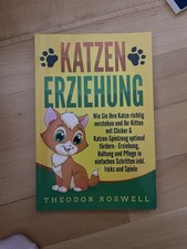 KATZENERZIEHUNG: Wie Sie Ihre