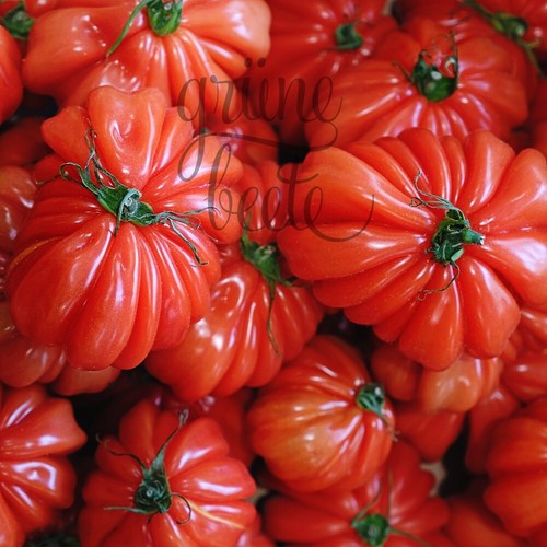Ochsenherz fleisch tomate - fleisch-tomate, 10