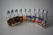 10 stück leere Glasflaschen, klein Likörflachen, ca. 10cm Höhe