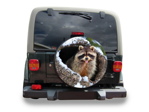 Raccoon spare wheel - spare,