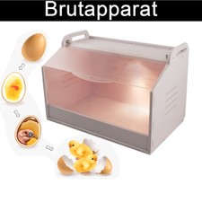 Geflügel Kükenbrüter