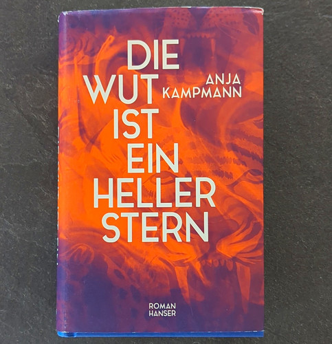 Hanser die wut ist - hanser,