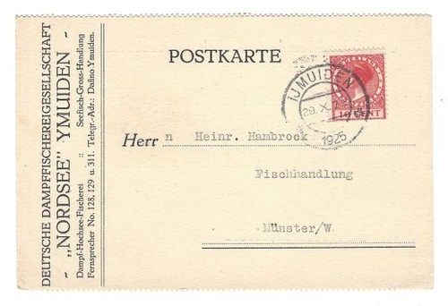 Niederlande 1924 minr - 154, a
