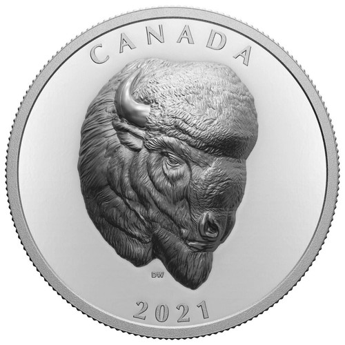 Kanada 2021 bold - kanada, bison