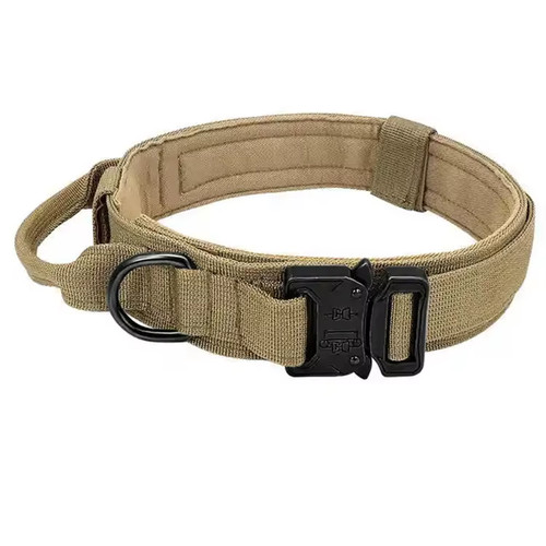 Aktisches hundehalsband mit - aktisches,